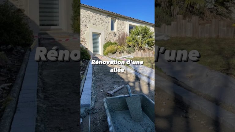 Transformez votre extérieur : guide essentiel pour la rénovation d’une allée inspirante