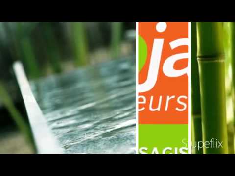 L’art de l’aménagement paysager : découvrez les secrets d’un jardin harmonieux et durable