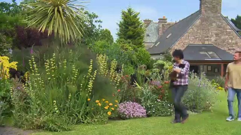 Échos de Bretagne : secrets et savoir-faire du jardin de Babou