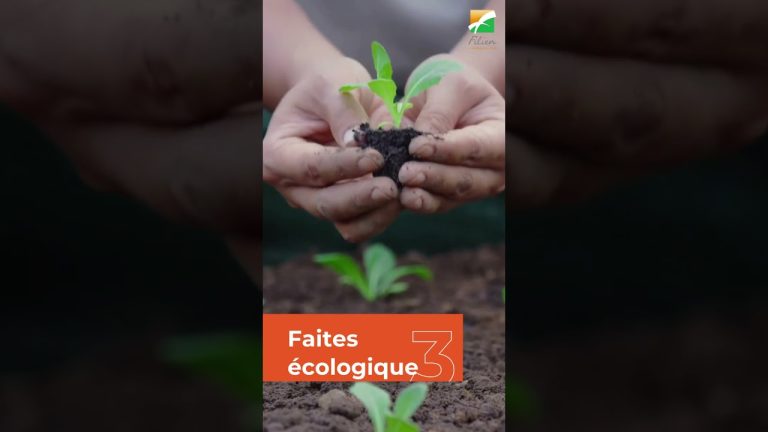 Rénovation de jardin : Conseils pratiques pour transformer votre espace extérieur en un havre de paix 🌿🌸